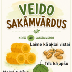 SPĒLE "VEIDO SAKĀMVĀRDUS"
