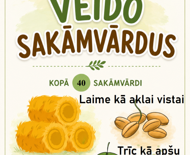 SPĒLE "VEIDO SAKĀMVĀRDUS"