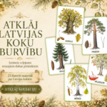 PLAKĀTI – KOKI | Atklāj Latvijas koku burvību