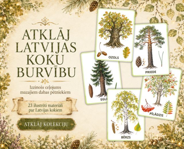 PLAKĀTI – KOKI | Atklāj Latvijas koku burvību