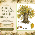 PLAKĀTI – KOKI | Atklāj Latvijas koku burvību – attēls 2