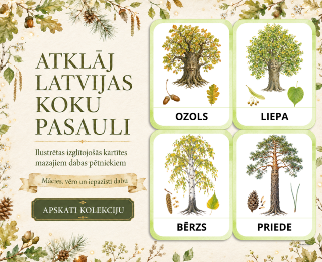 KARTĪTES – KOKI | Atklāj Latvijas koku burvību