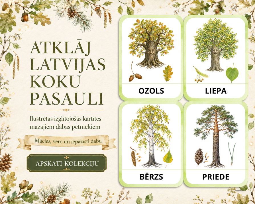 KARTĪTES – KOKI | Atklāj Latvijas koku burvību