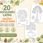 KRĀSOJAMĀS LAPAS – KOKI | Atklāj Latvijas koku burvību