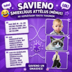 Spēle "Savieno smieklīgus attēlus ar asprātīgiem tekstiem"