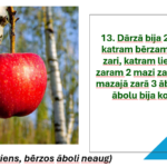 ATJAUTĪGO JAUTĀJUMU SPĒLE – attēls 3