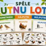 SPĒLE - PUTNU LOTO