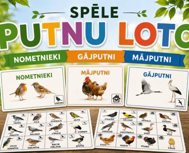 SPĒLE - PUTNU LOTO
