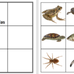 SPĒLE "LOTO" – attēls 2
