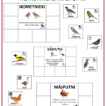 SPĒLE - PUTNU LOTO – attēls 2